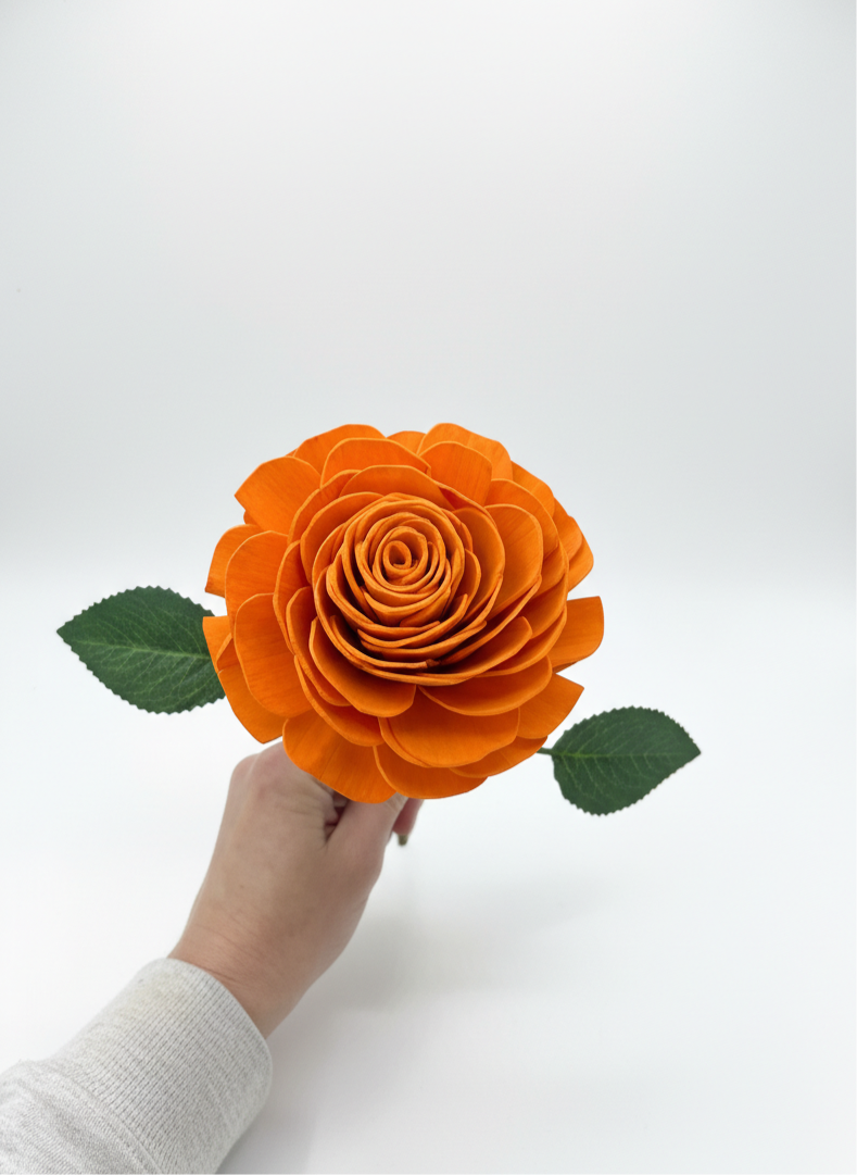 Stem of Hope - Orange