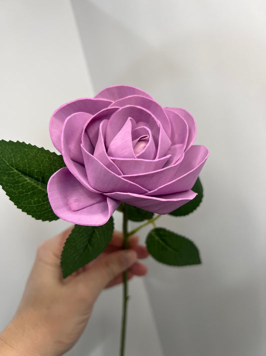 Stems of Hope - Lavender Rose