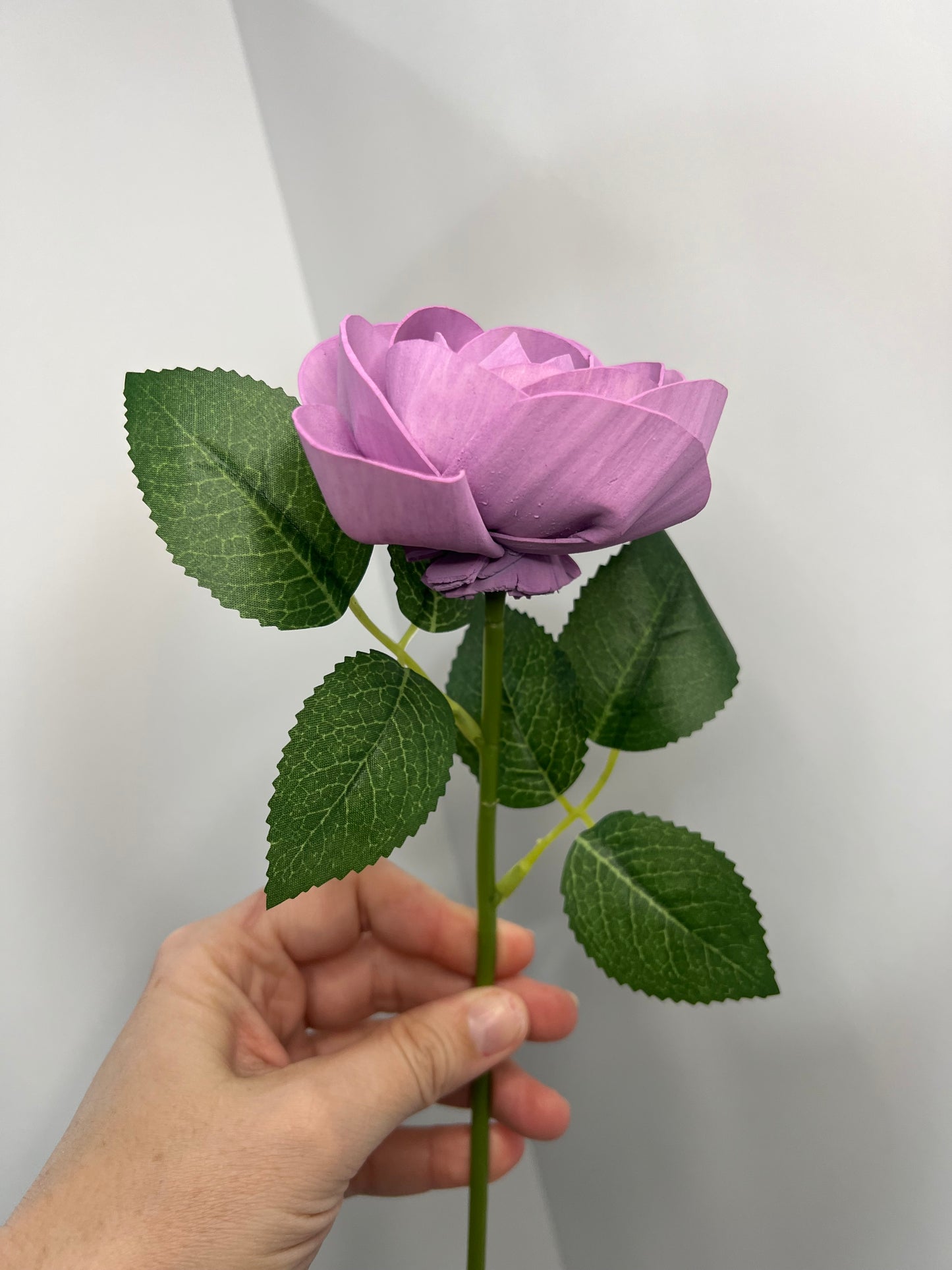 Stems of Hope - Lavender Rose